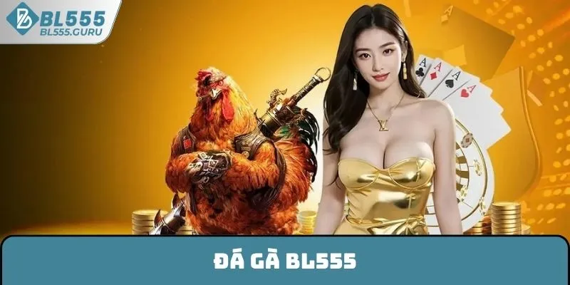 Đá Gà BL555 - Sân Chơi Cá Cược Hấp Dẫn Nhất Hiện Nay 5 Đá Gà BL555 - Sân Chơi Cá Cược Hấp Dẫn Nhất Hiện Nay