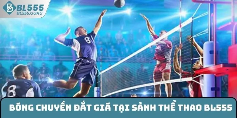 Thể Thao BL555 - Địa Điểm Giải Trí Hàng Đầu Hiện Nay 9 Bóng chuyền đắt giá tại sảnh thể thao BL555
