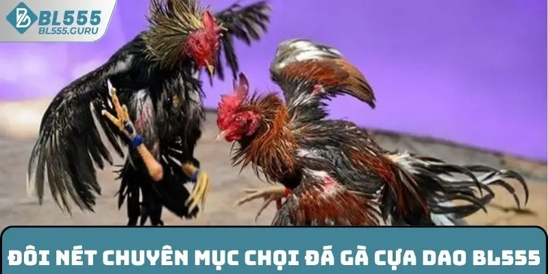 Đá Gà Cựa Dao BL555 - Lựa Chọn Giải Trí Được Ưa Chuộng 2025 5 Đôi nét chuyên mục chọi đá gà cựa dao BL555