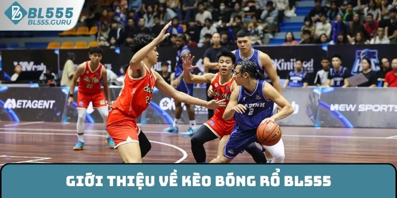 Kèo Bóng Rổ BL555 - Sức Hấp Dẫn Trên Thị Trường Giải Trí 5 Giới thiệu về kèo bóng rổ BL555