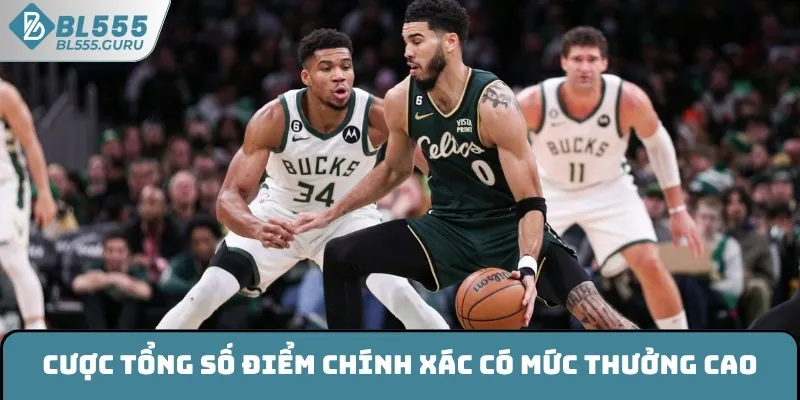 Kèo Bóng Rổ BL555 - Sức Hấp Dẫn Trên Thị Trường Giải Trí 6 Cược tổng số điểm chính xác có mức thưởng cao