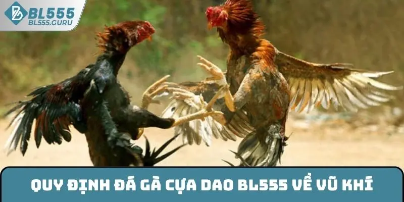 Đá Gà Cựa Dao BL555 - Lựa Chọn Giải Trí Được Ưa Chuộng 2025 6 Quy định đá gà cựa dao BL555 về vũ khí